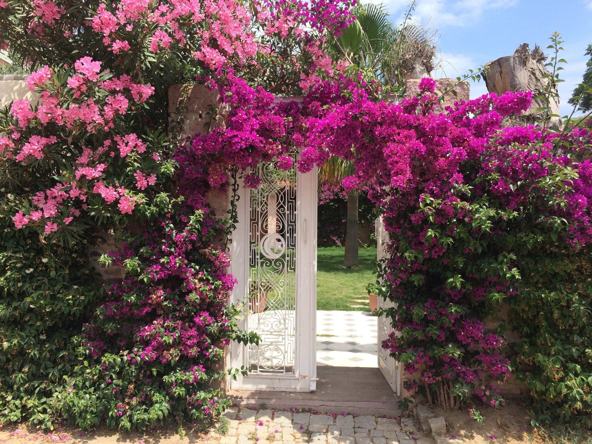 Cunda Has Konak Butik Otel Ayvalı 외부 사진
